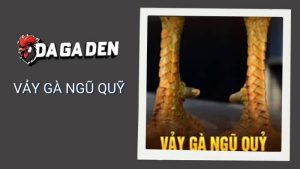 Vảy Gà Ngũ Quỷ Là Gì? Đặc Điểm Nhận Biết Và Khả Năng Chiến Đấu