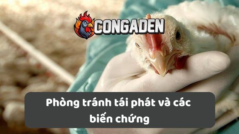 Phòng tránh tái phát và các biến chứng Phòng tránh tái phát và các biến chứng