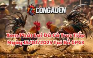 Xem Phát Lại Đá Gà Trực Tiếp Ngày 15/07/2025 Tại Bồ CPC3
