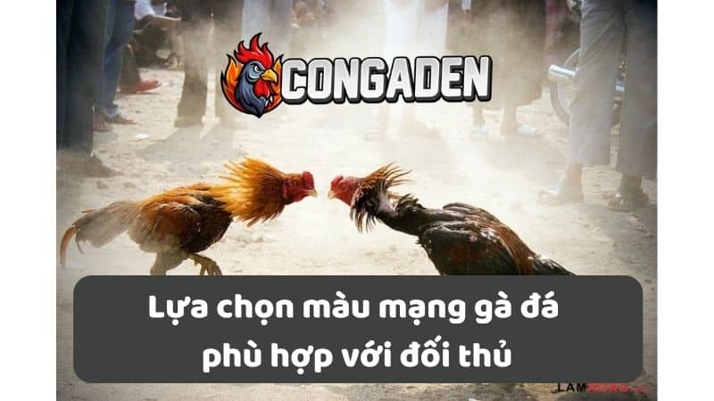 Lựa chọn màu mạng gà đá phù hợp với đối thủ Lựa chọn màu mạng gà đá phù hợp với đối thủ