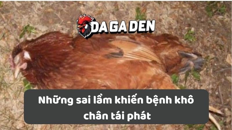 Những sai lầm khiến bệnh khô chân tái phát Những sai lầm khiến bệnh khô chân tái phát