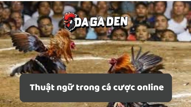 Thuật ngữ trong cá cược online Thuật ngữ trong cá cược online