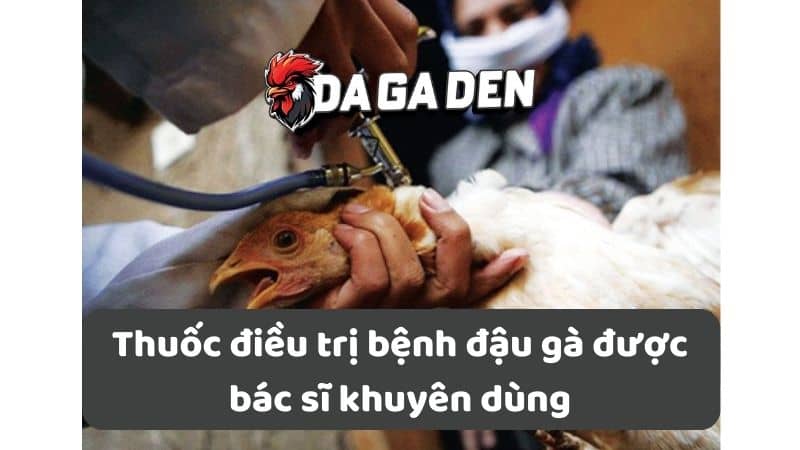 Thuốc điều trị bệnh đậu gà được bác sĩ khuyên dùng Thuốc điều trị bệnh đậu gà được bác sĩ khuyên dùng