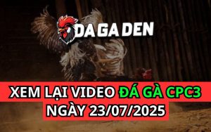 Xem Phát Lại Đá Gà Trực Tiếp Ngày 23/07/2025 Tại Bồ CPC3