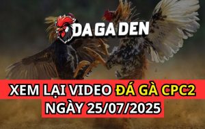 Xem Phát Lại Đá Gà Trực Tiếp Ngày 25/07/2025 Tại Bồ CPC2