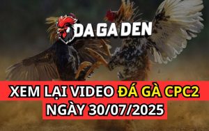 Xem Phát Lại Đá Gà Trực Tiếp Ngày 30/07/2025 Tại Bồ CPC2