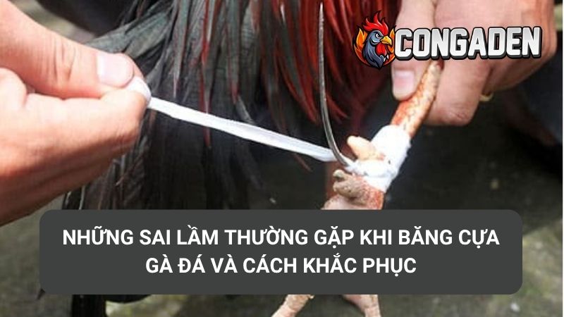 Những sai lầm thường gặp khi băng cựa gà và cách khắc phục