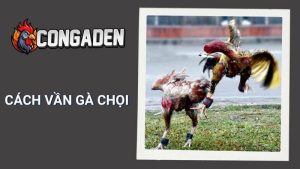 Cách Vần Gà Chọi