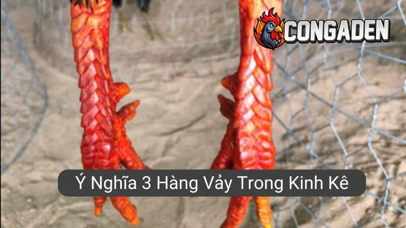 Ý nghĩa 3 hàng vảy trong kinh kê